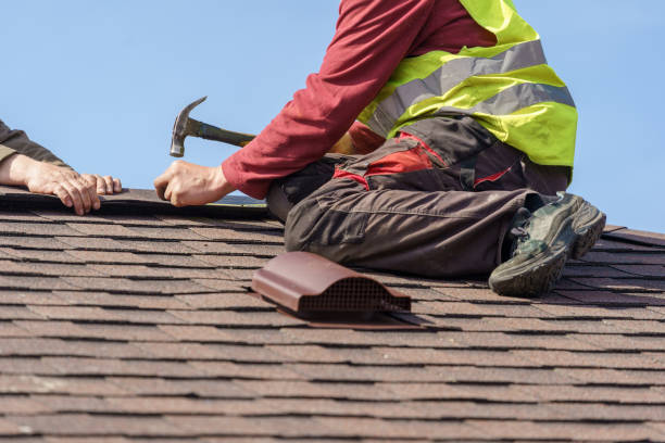 Roof Gutter Cleaning in Tyndall, SD